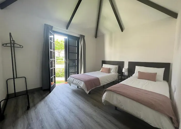 Cardones Playa de las Americas (Tenerife)